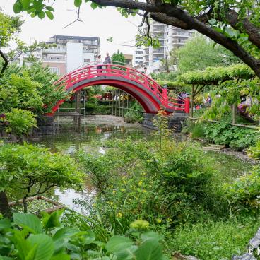 Taiko-bashi Bridge in Kameido Tenjin shrine (Tokyo)