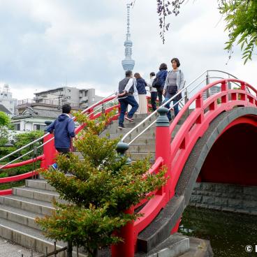 Otoko-bashi Bridge in Kameido Tenjin shrine (Tokyo)