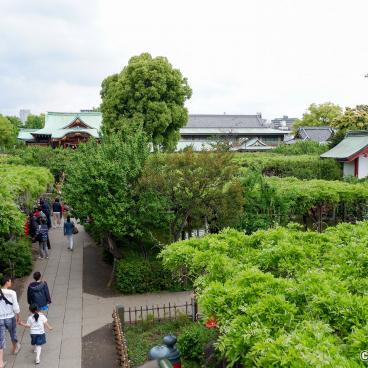 Kameido Tenjin shrine's grounds (Tokyo) 2