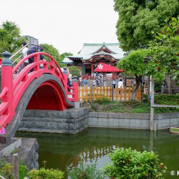 Onna-bashi Bridge and Honden pavilion in Kameido Tenjin shrine (Tokyo)