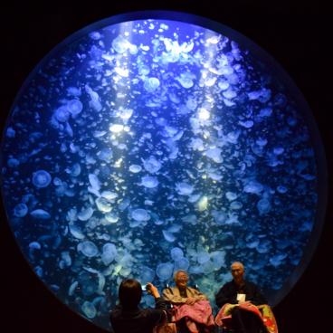 Kamo Kurage Aquarium (Tsuruoka), Kurage Dream Theater
