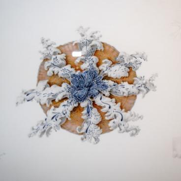 Kamo Kurage Aquarium (Tsuruoka), Anatomical drawing of a jellyfish