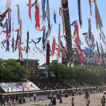 Takatsuki (Osaka), koi nobori kites above Akuta River in Akutagawa Sakurazutsumi Park 8