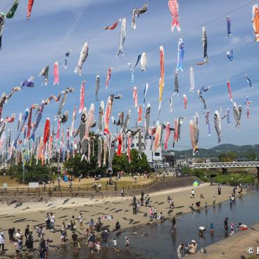 Takatsuki (Osaka), koi nobori kites above Akuta River in Akutagawa Sakurazutsumi Park 11