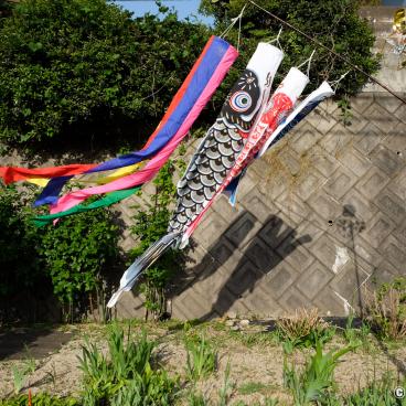 Traditional koi nobori pole in a private garden in Japan