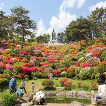 Kannon statue and small pond in Shiofune Kannon-ji temple in Ome