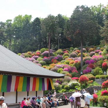 Shiofune Kannon-ji temple in Ome