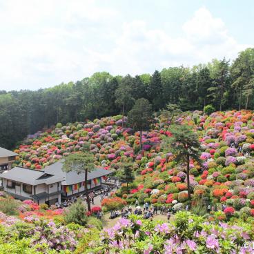 View on Shiofune Kannon-ji temple in Ome