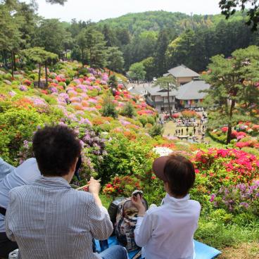 Visitors enjoying the view on Shiofune Kannon-ji temple in Ome