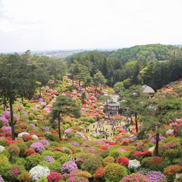 View on the valley of Shiofune Kannon-ji temple in Ome