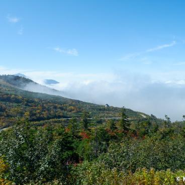 Tateyama Kurobe Alpine Route, Bus ways between Bijodaira and Murodo