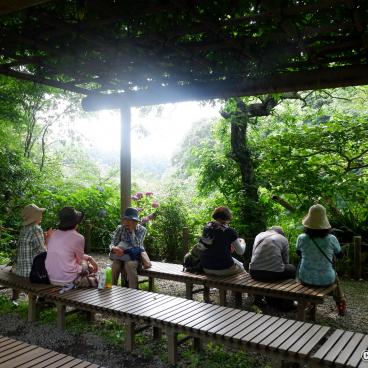 Zuisen-ji (Kamakura), Resting area