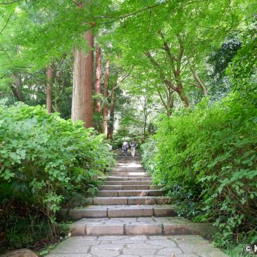 Zuisen-ji (Kamakura), Stone stairway and vegetation