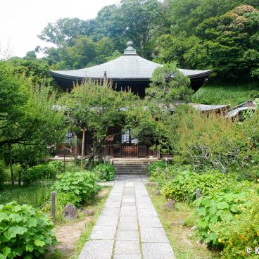 Zuisen-ji (Kamakura), View on the main hall Hondo