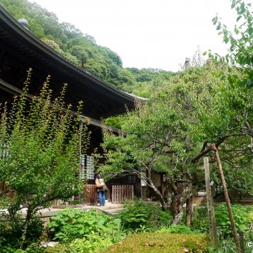 Zuisen-ji (Kamakura), View on the main hall Hondo 2