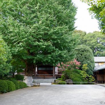 Koenji (Tokyo), Shukuhozan-Koenji temple