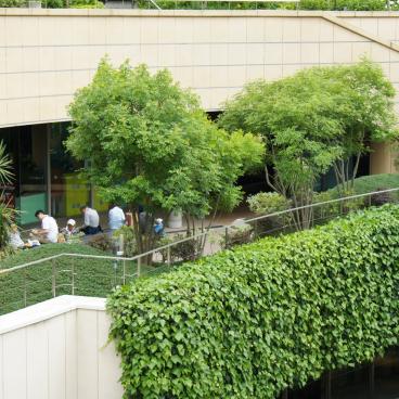 Namba Parks (Osaka), Terraces and vegetation 2