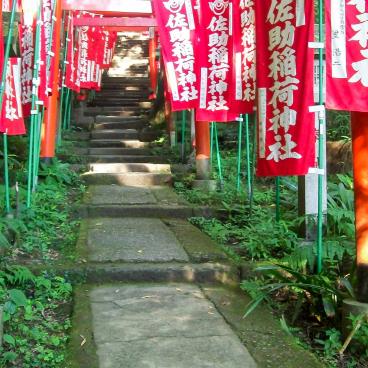 Sasuke Inari-jinja (Kamakura), Torii gates and banners