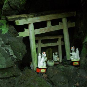 Sasuke Inari-jinja (Kamakura), Cave with statuettes of foxes and torii gates
