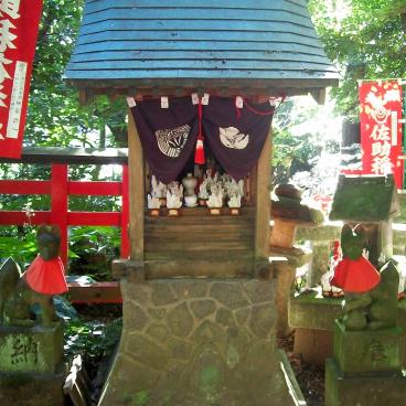 Sasuke Inari-jinja (Kamakura) 2