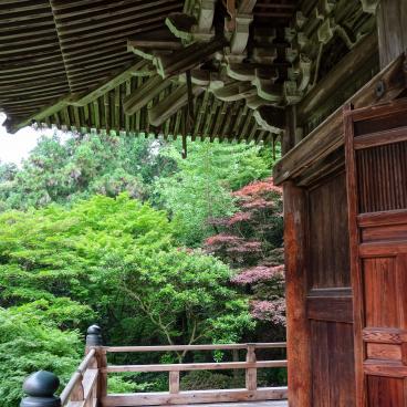 Shoshazan Engyo-ji, Vegetation surrounding the temple's pavilions 2