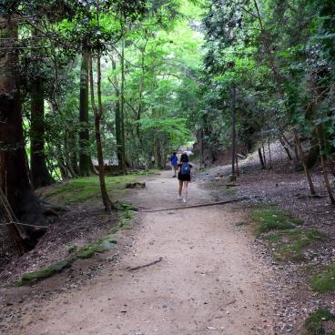 Shoshazan Engyo-ji, Path to the temple in the forest 2