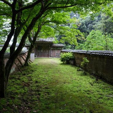 Shoshazan Engyo-ji, Vegetation surrounding the temple's pavilions 3