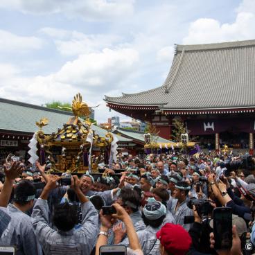 Sanja Matsuri (Tokyo), Mikoshi procession in Senso-ji's grounds