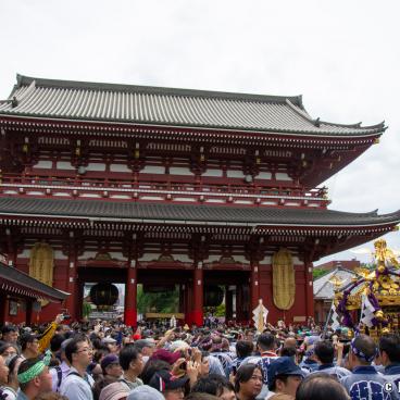 Sanja Matsuri (Tokyo), Mikoshi procession in Senso-ji's grounds 5