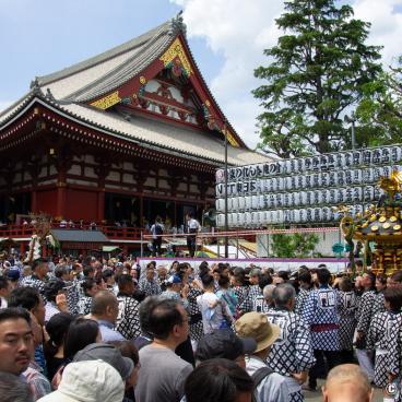 Sanja Matsuri (Tokyo), Mikoshi procession in Senso-ji's grounds 6