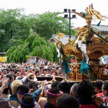 Sanja Matsuri (Tokyo), Mikoshi procession in Senso-ji's grounds 2