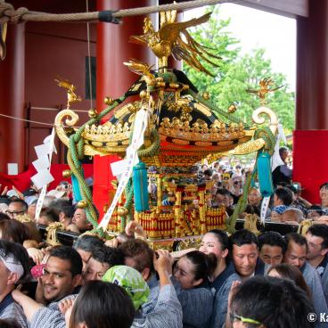 Sanja Matsuri (Tokyo), Mikoshi procession in Senso-ji's grounds 3