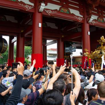 Sanja Matsuri (Tokyo), Mikoshi procession in Senso-ji's grounds 4