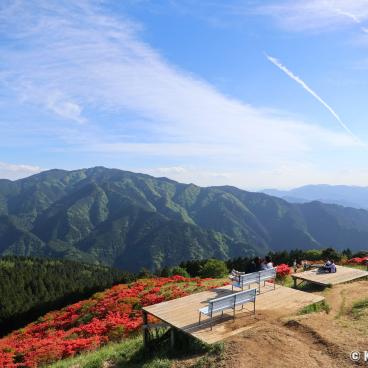 Mount Yamato-Katsuragi-san (Nara), View on the azaleas 2