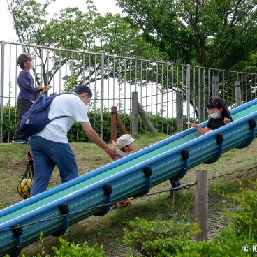 Father's day in Japan, Fathers and children playing at the park 3