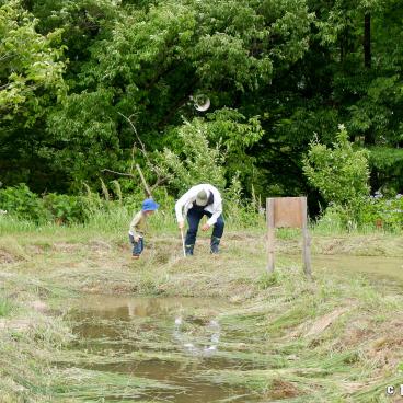 Father's day in Japan, Fathers and children playing at the park 4