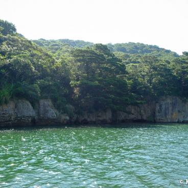 Iriomote (Yaeyama - Okinawa), Cruise on Urauchi River 2
