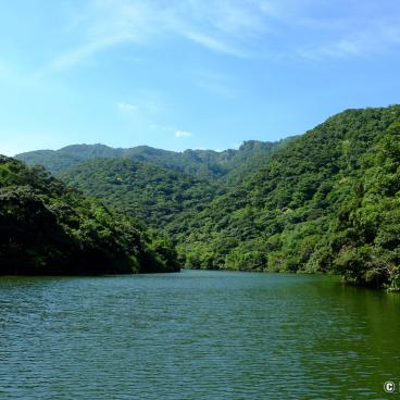 Iriomote (Yaeyama - Okinawa), Cruise on Urauchi River 3