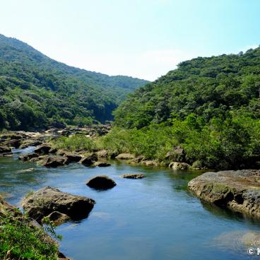 Iriomote (Yaeyama - Okinawa), Cruise on Urauchi River 4