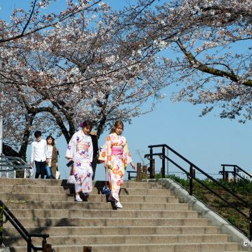 Yukata rental and stroll near the Sumida River in Tokyo