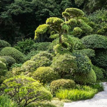 Hokoku-ji temple in Kamakura, Garden 3