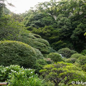 Hokoku-ji temple in Kamakura, Garden 4