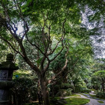 Hokoku-ji temple in Kamakura, Garden