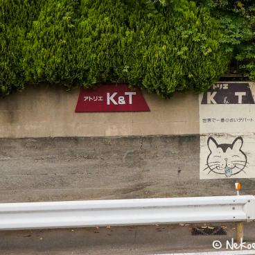 Surroundings of Hokoku-ji temple in Kamakura