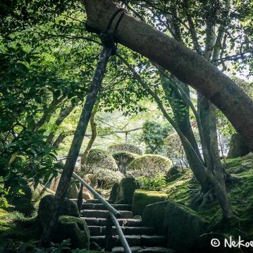 Hokoku-ji temple in Kamakura, Garden 2