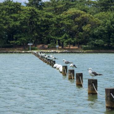 Ohori Park (Fukuoka), View on the lake