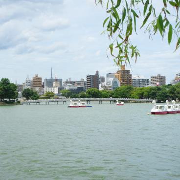 Ohori Park (Fukuoka), View on the lake and on the city