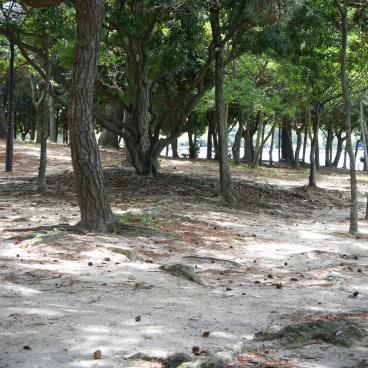 Ohori Park (Fukuoka) 2