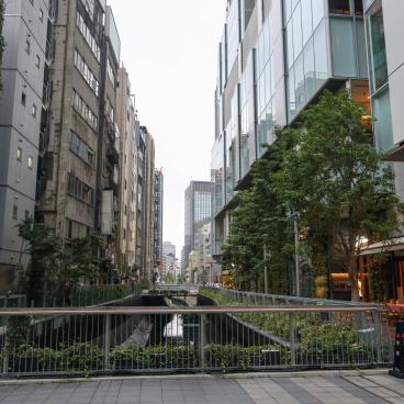 Shibuya River landscaped banks 2