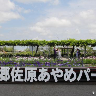 Suigo Sawara Ayame Park (Katori, Chiba), Entrance of the garden